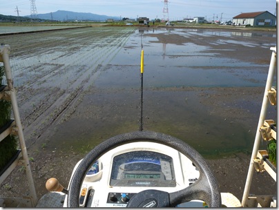 田植え終わり150522