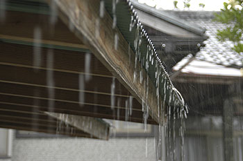 雨08.6.29.jpg