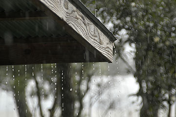 雨降り.jpg