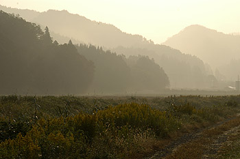 朝の風景09.10.31.jpg