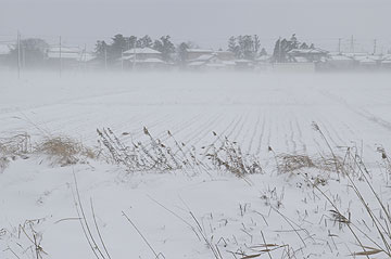 吹雪.jpg