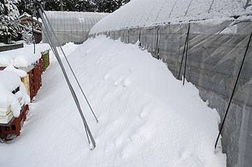 ハウス除雪.jpg