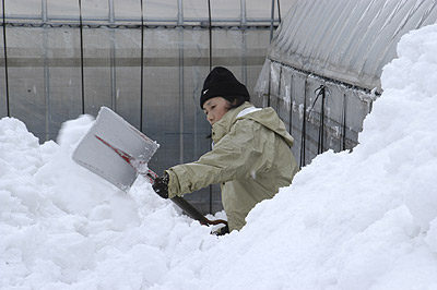 ハウス除雪08.2.8.jpg