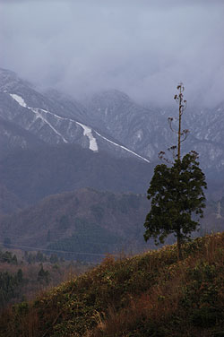 二王子岳冠雪.jpg