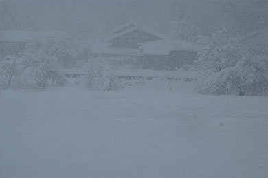 大雪09.12.18_1.jpg