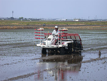 taue08.5.4_1.jpg