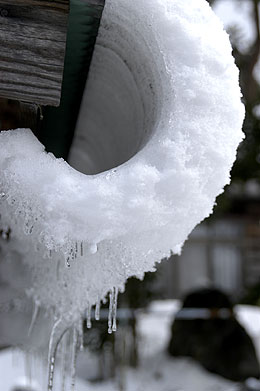 屋根雪.jpg