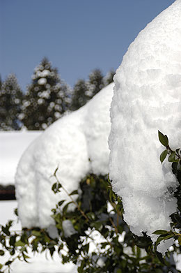 大雪.jpg