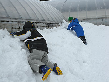 雪遊び.jpg