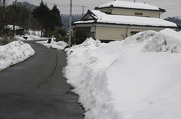 雪解けが進む.jpg