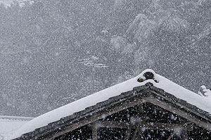 雪降り8.1.26.jpg