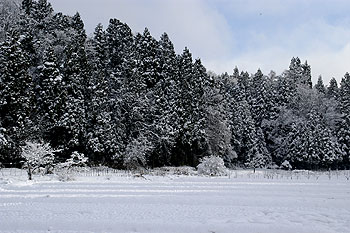 雪景色09.12.17.jpg