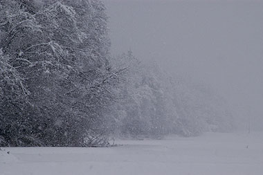 雪降り.jpg