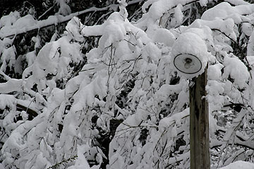 雪の朝.jpg