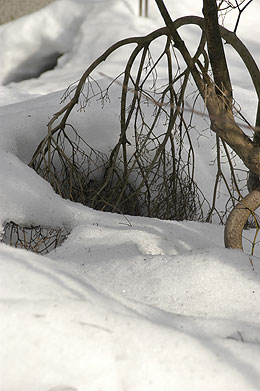 雪の力.jpg